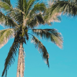 Prendre du temps pour soi : les bienfaits prouvés des micro-pauses