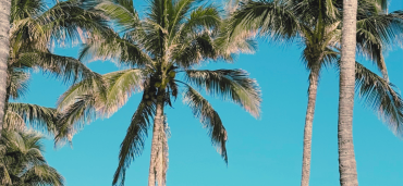 Prendre du temps pour soi : les bienfaits prouvés des micro-pauses